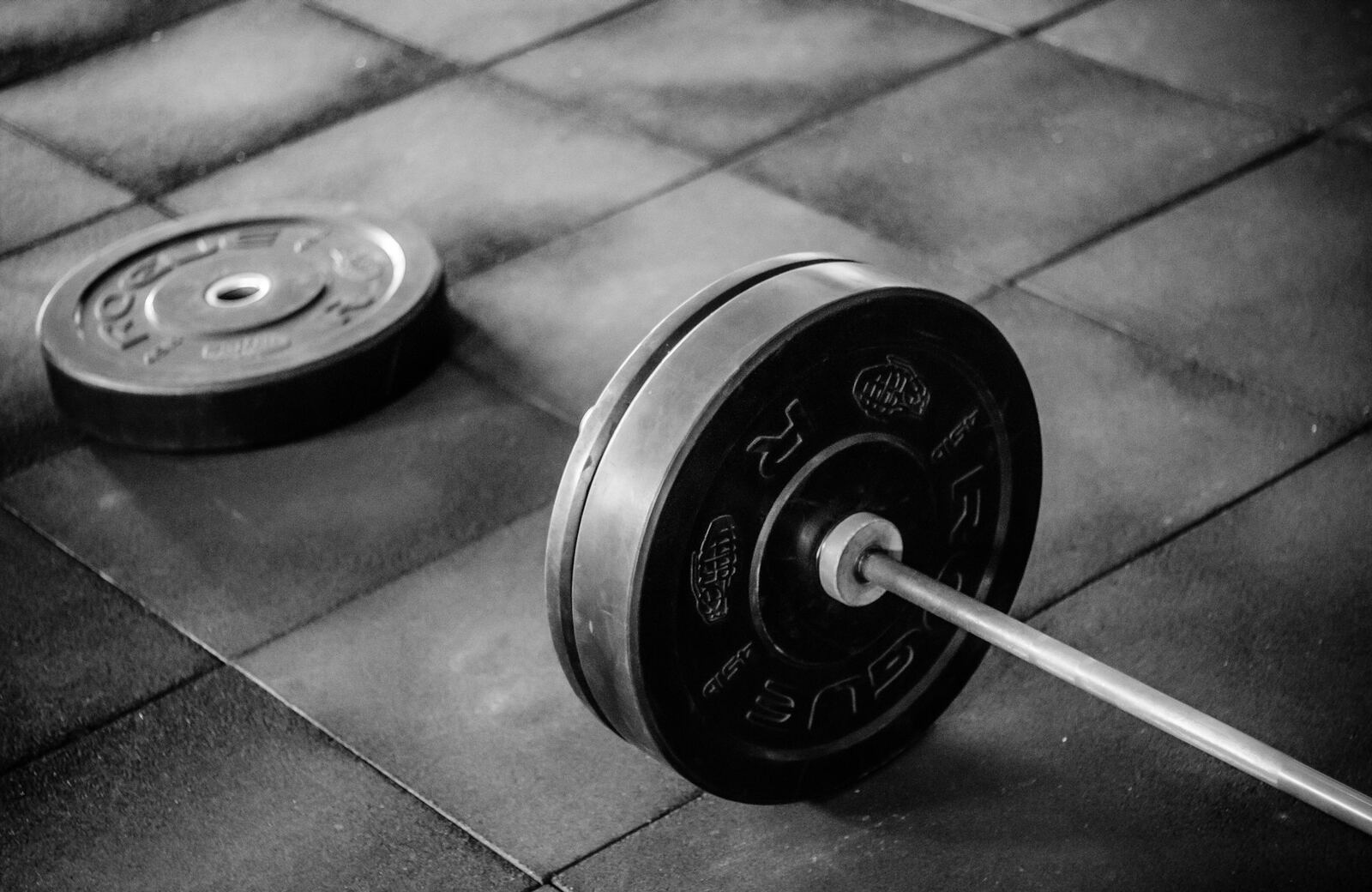 Fitness demo önizleme